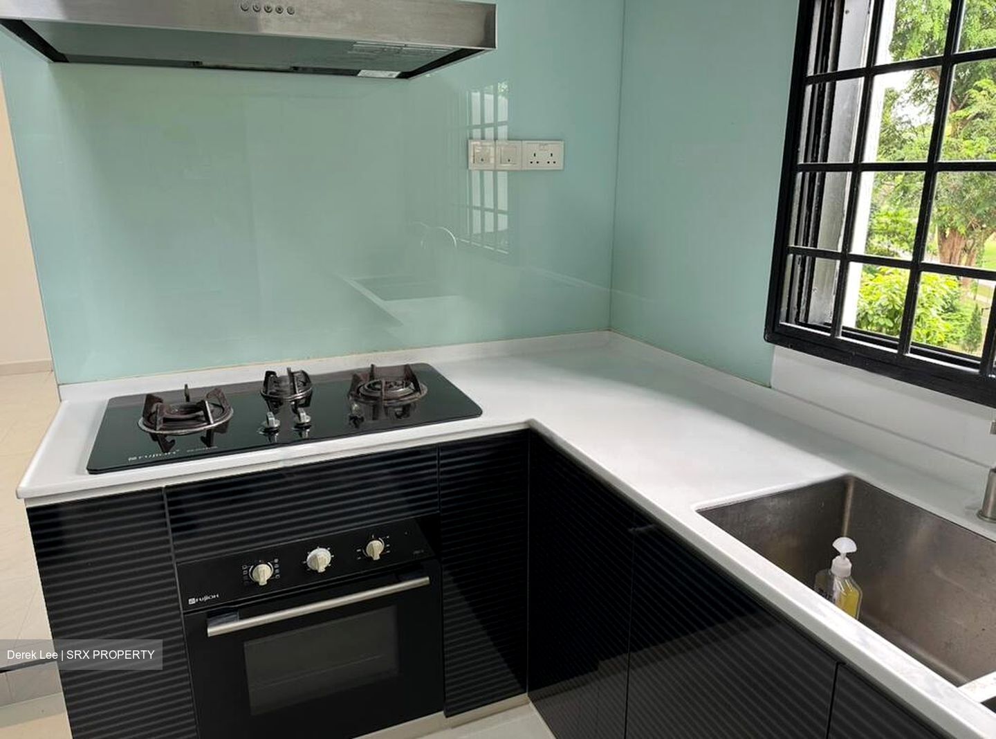 Lakeview Estate (D20), Apartment #470838251